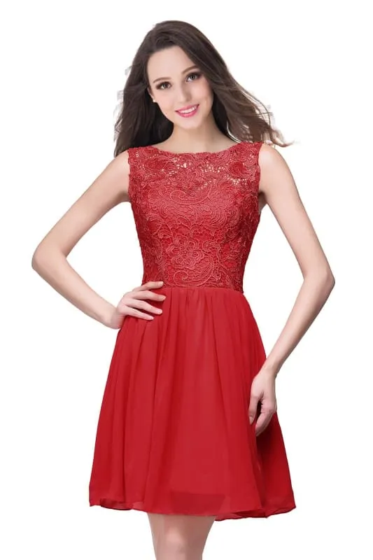 Stylish Scoop Neck Chiffon Short Homecoming Dress Sleeveless Floral Lace Mini Party Dress