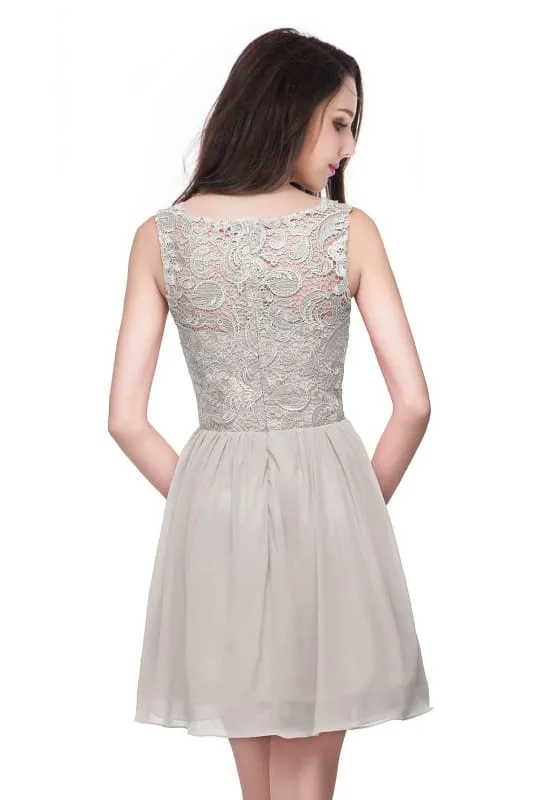 Stylish Scoop Neck Chiffon Short Homecoming Dress Sleeveless Floral Lace Mini Party Dress