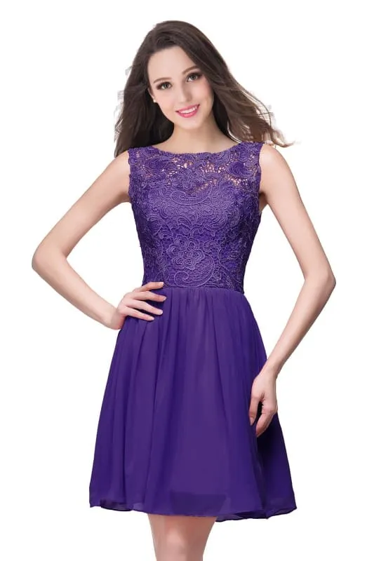 Stylish Scoop Neck Chiffon Short Homecoming Dress Sleeveless Floral Lace Mini Party Dress